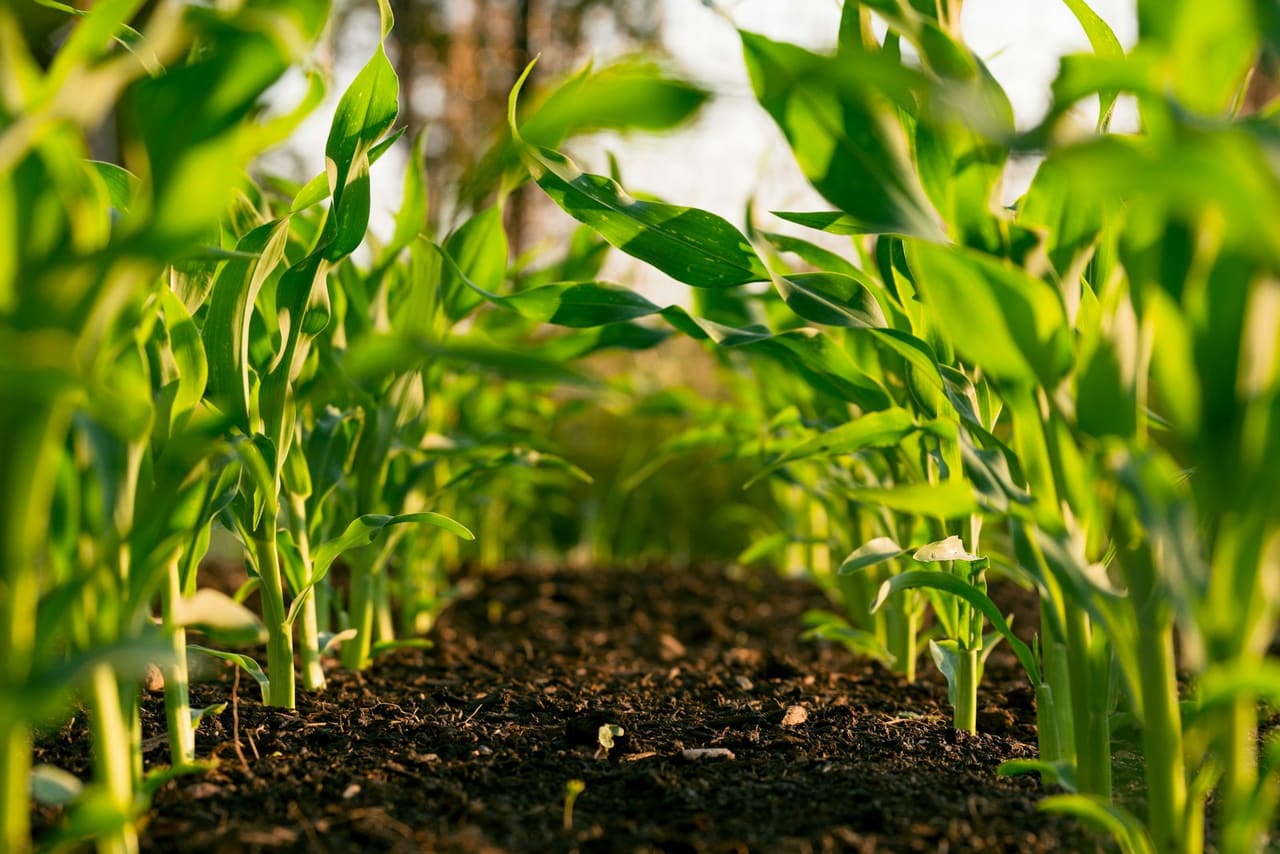Smart Farming Technology Fundamentals in-house training